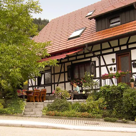 Schwarzwaldhaus Tatil Evi Seebach